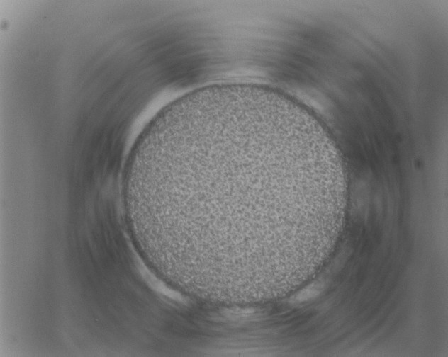 X0000066081470200603311923