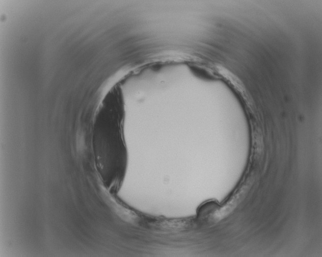 X0000066081473200603311923