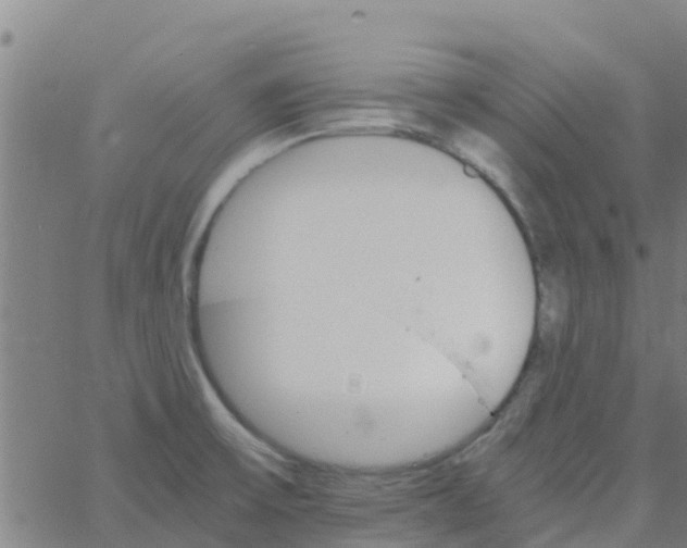 X0000066081475200603311923