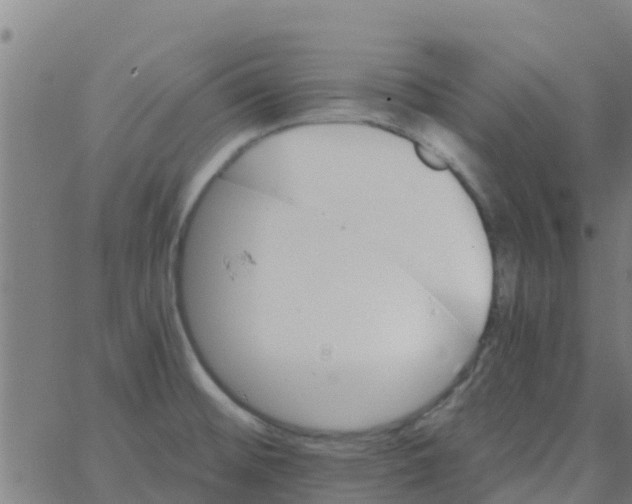 X0000066081476200603311923