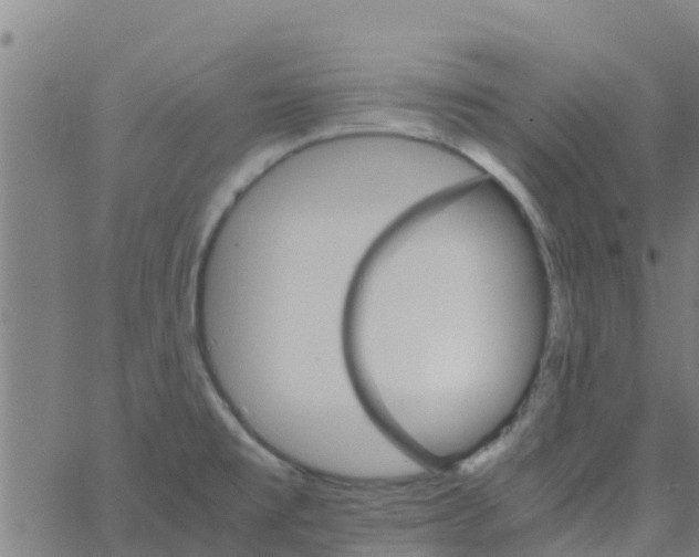 X0000066081477200603311923