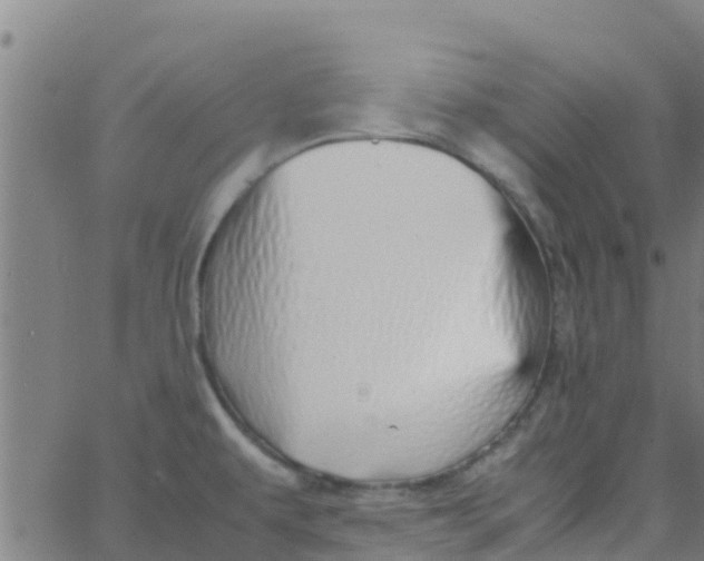 X0000066081479200603311923