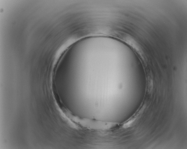 X0000066081480200603311923