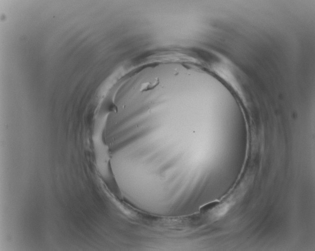 X0000066081481200603311923