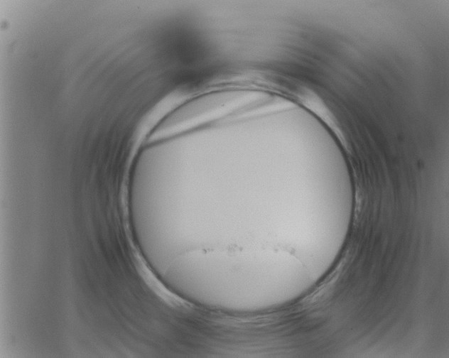 X0000066081482200603311923