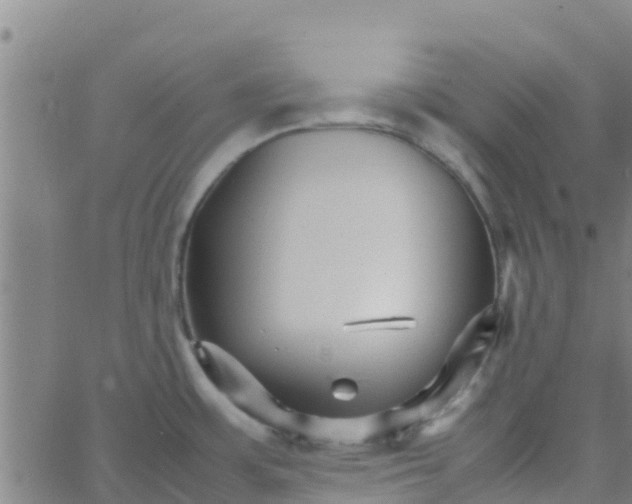 X0000066081483200603311923