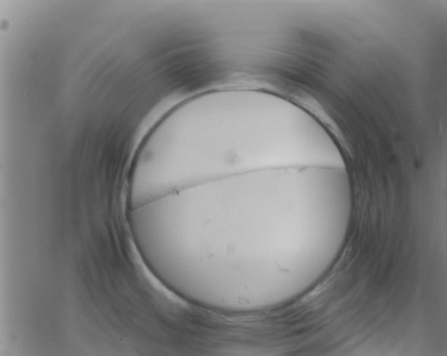 X0000066081484200603311923