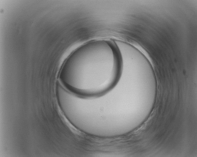 X0000066081485200603311923