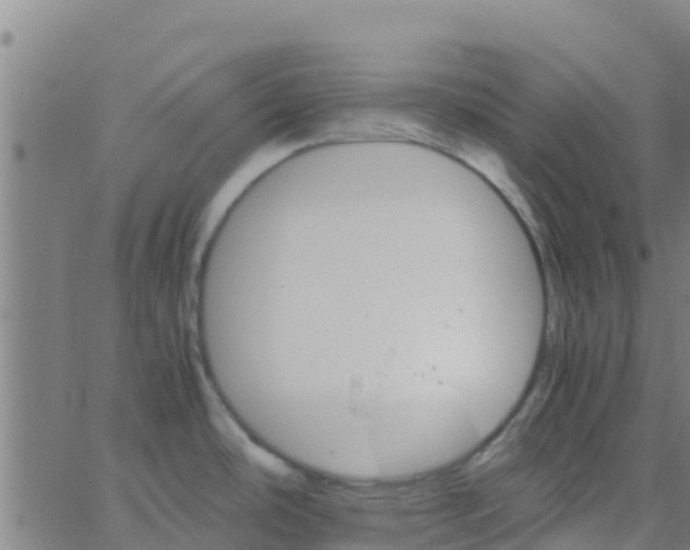 X0000066081486200603311922