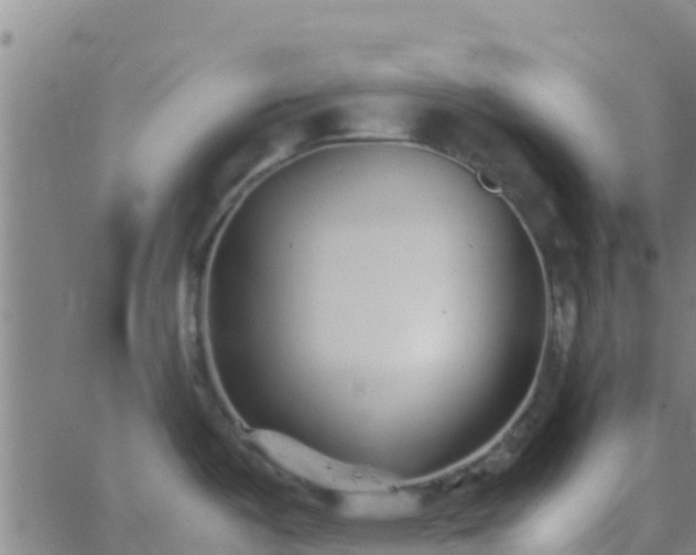 X0000066081487200603311922