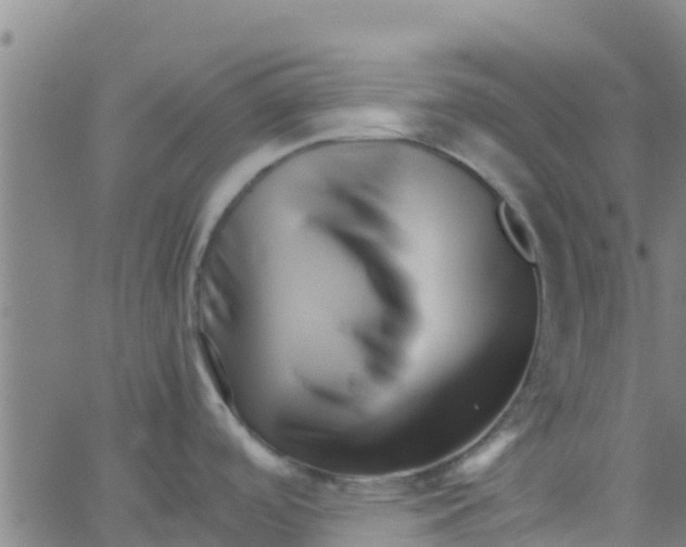 X0000066081488200603311922