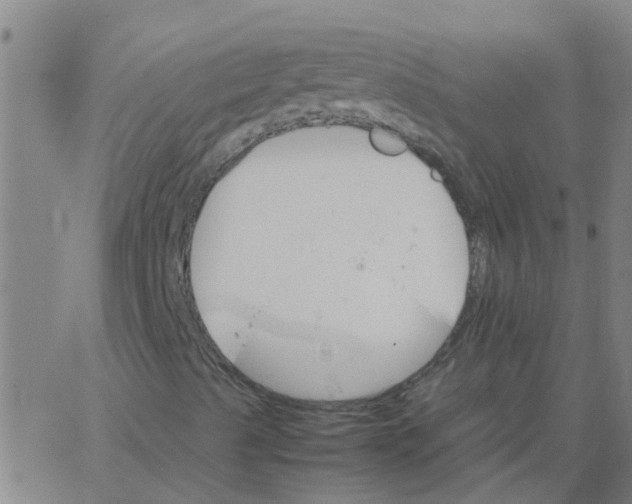 X0000066081489200603311922