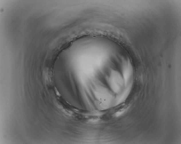 X0000066081490200603311922