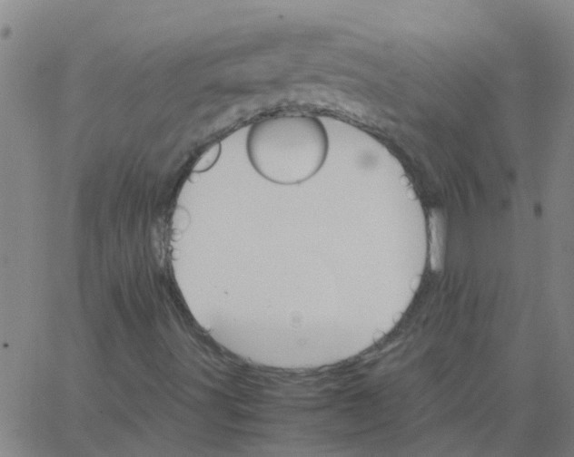 X0000066081491200603311922