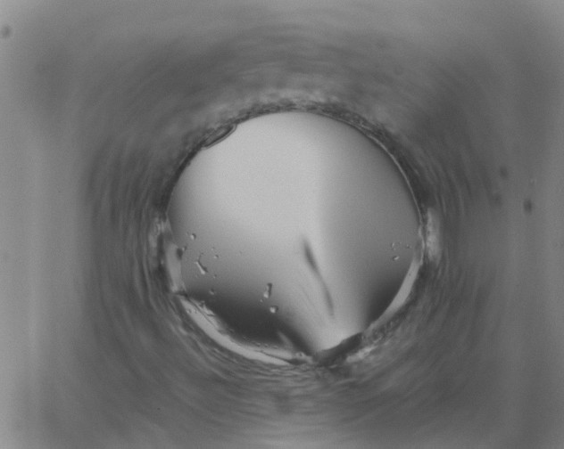 X0000066081492200603311922