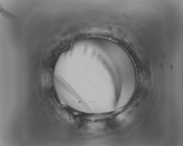 X0000066081493200603311922