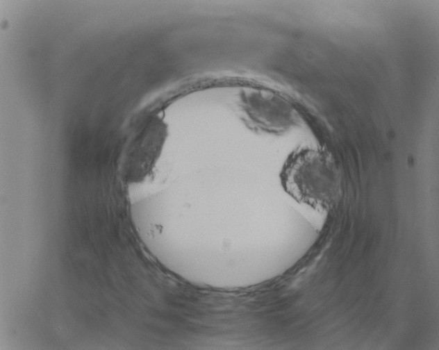 X0000066081494200603311922