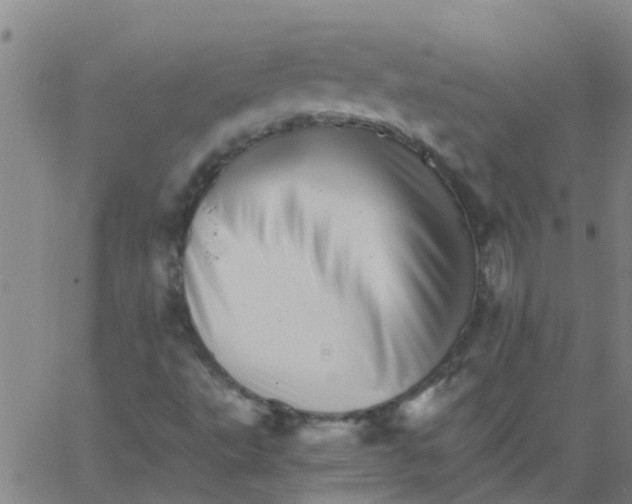 X0000066081495200603311922