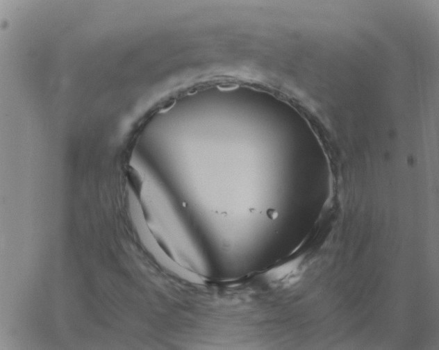 X0000066081496200603311922