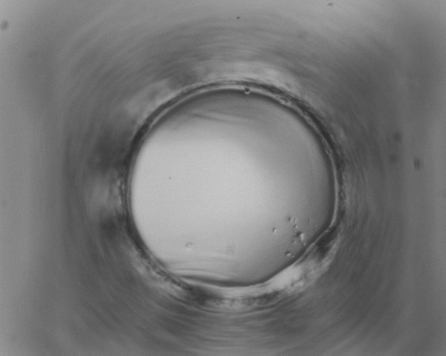 X0000066081497200603311922