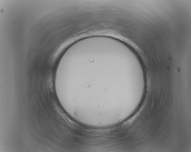 X0000066081498200603311922