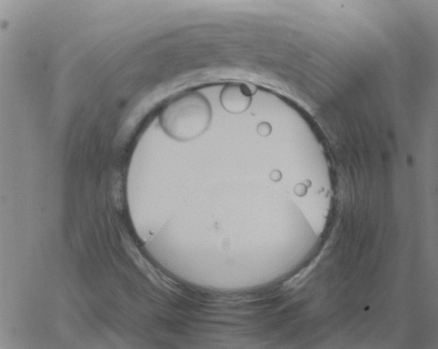 X0000066081499200603311922