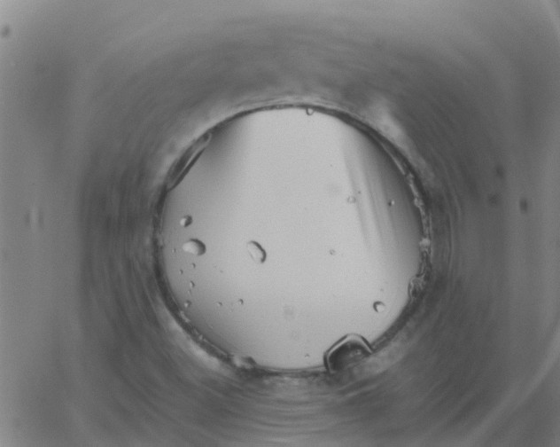 X0000066081500200603311922