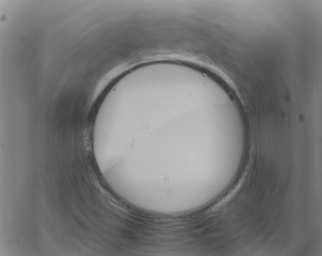 X0000066081501200603311922