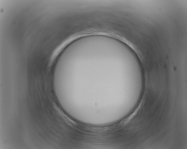 X0000066081502200603311922