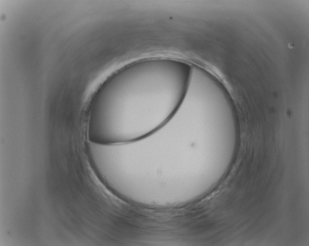 X0000066081504200603311922