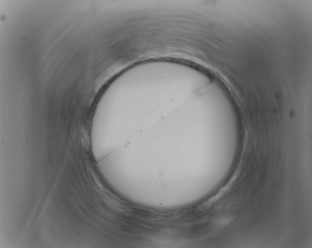 X0000066081505200603311922