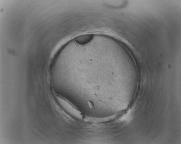 X0000066081506200603311922