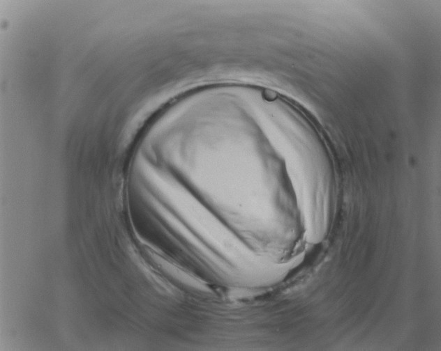 X0000066081507200603311922