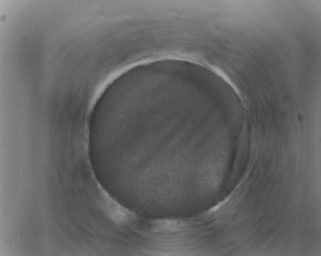 X0000066081508200603311922