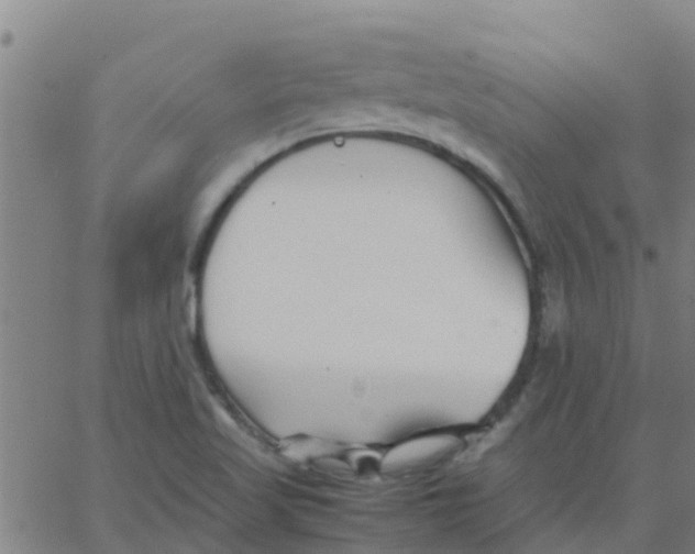 X0000066081509200603311922