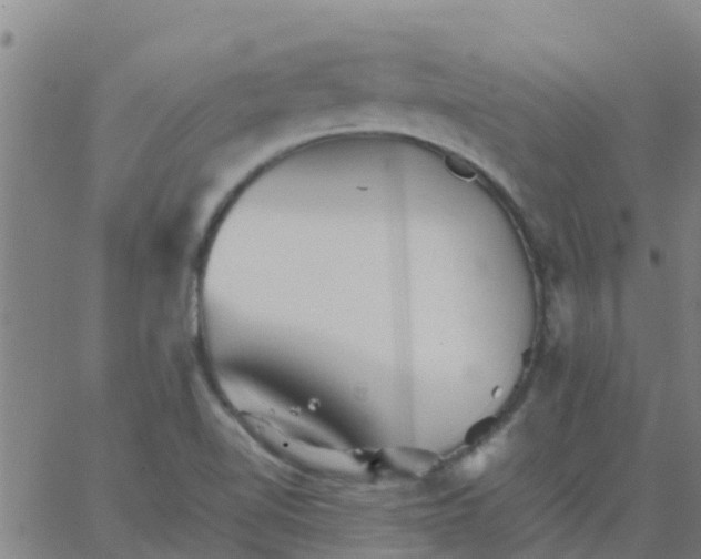 X0000066081510200603311922