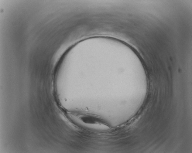 X0000066081511200603311922