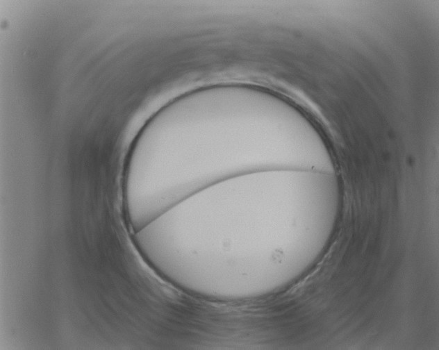 X0000066081512200603311922