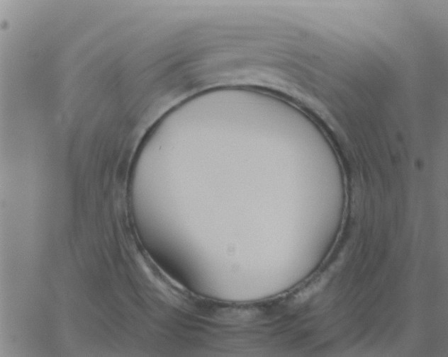 X0000066081513200603311922