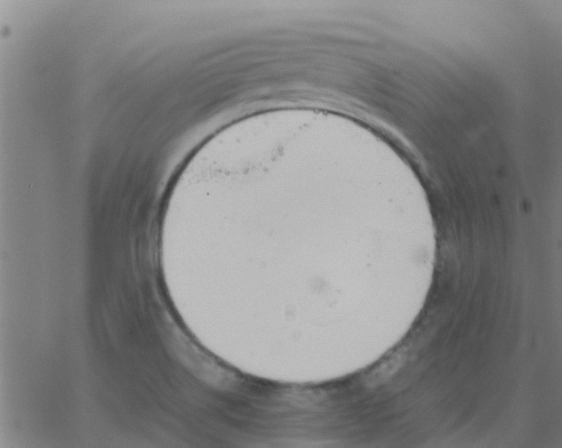 X0000066081514200603311922