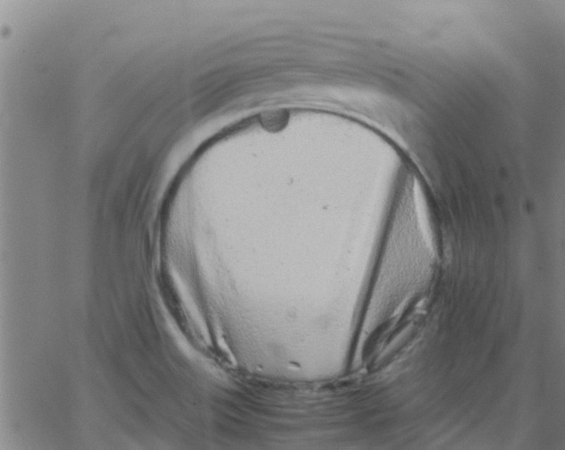 X0000066081515200603311922