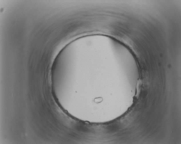 X0000066081516200603311922