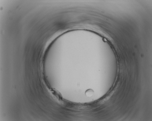 X0000066081517200603311922