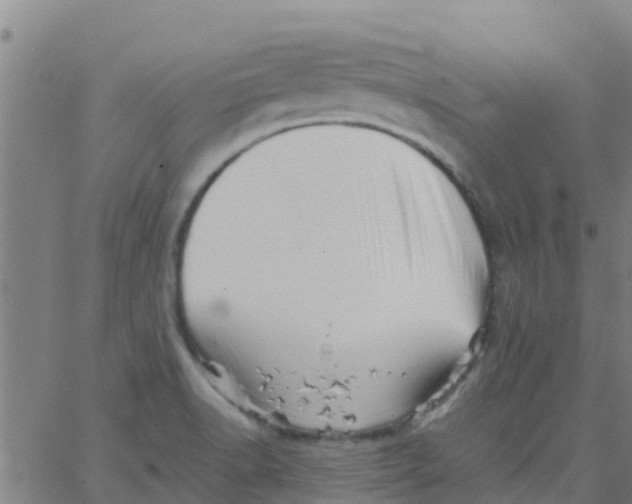 X0000066081518200603311922