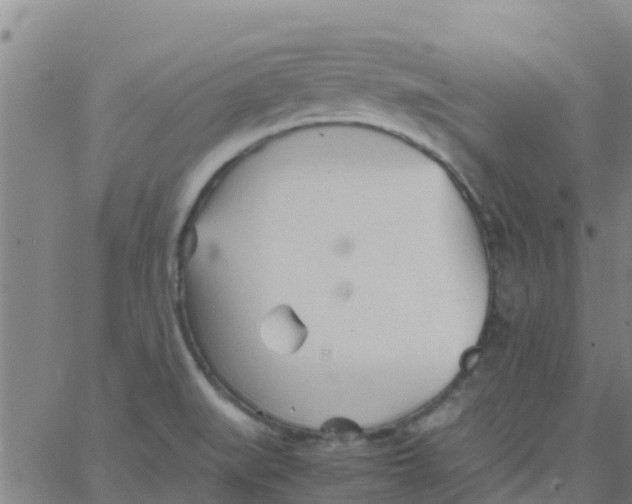 X0000066081519200603311922