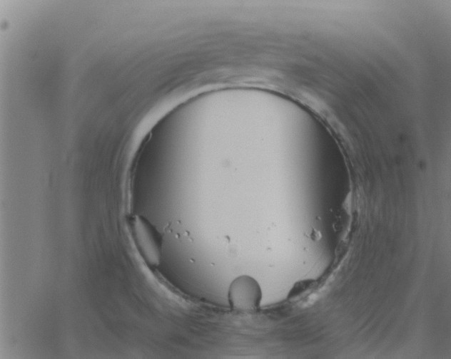 X0000066081520200603311922