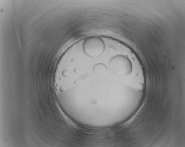 X0000066081521200603311922