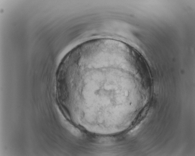 X0000066081522200603311922