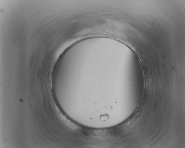 X0000066081523200603311922