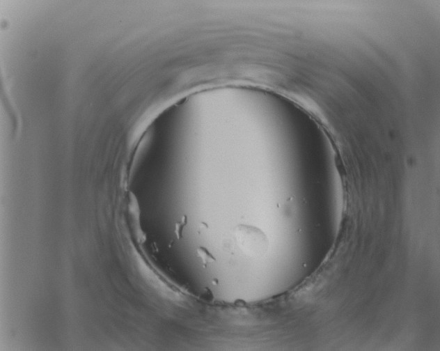 X0000066081524200603311922